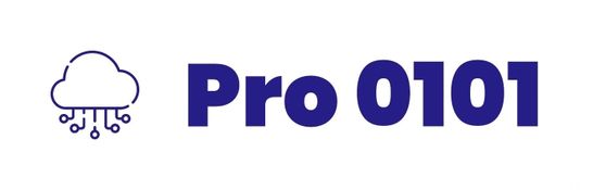 Pro0101